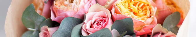 купить цветы Монако от Grand-flora